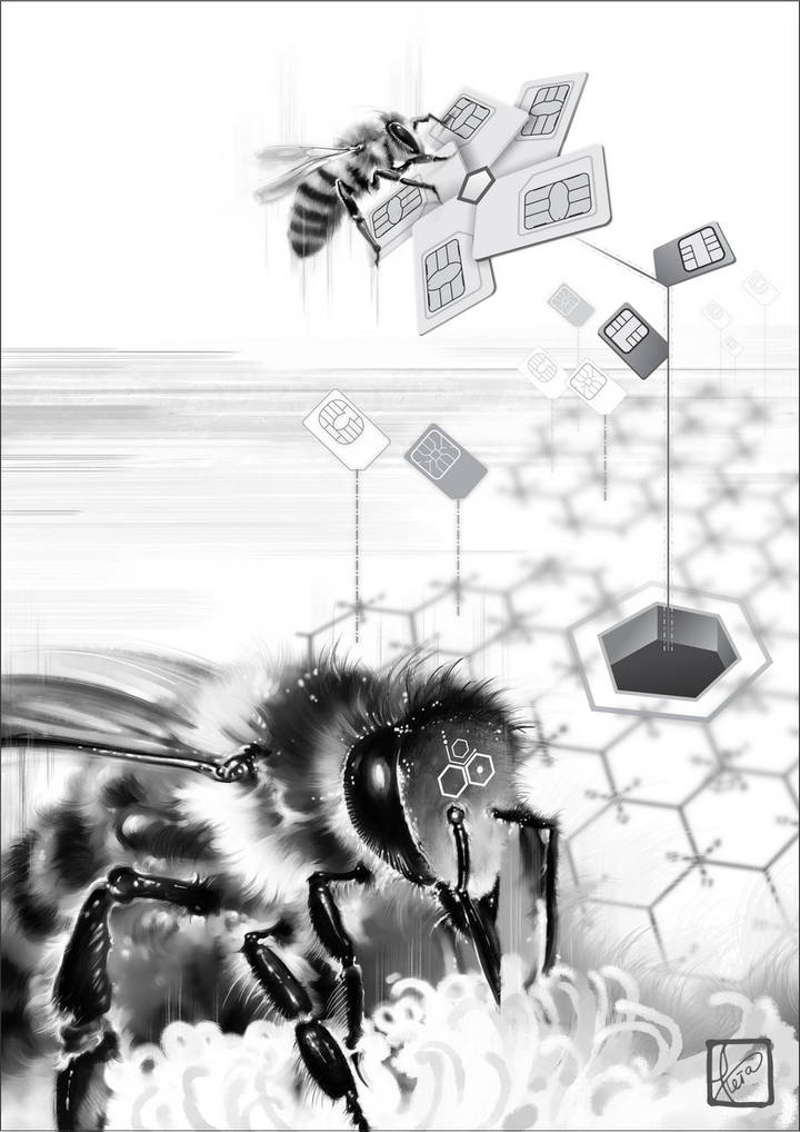 BEES ~ CELLULAR COMMUNICATIONS